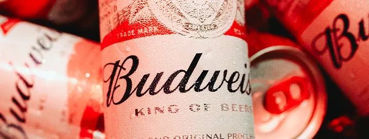 Si hay Música Hay Budweiser Si hay Música Hay Budweiser